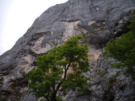 Rock Face